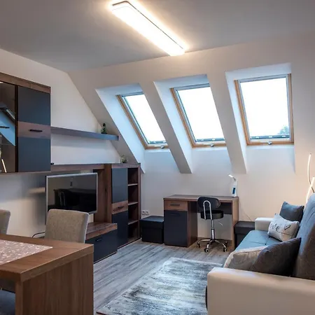 Zsuka Free Parking Apartment